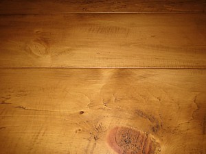 Closeup Plank